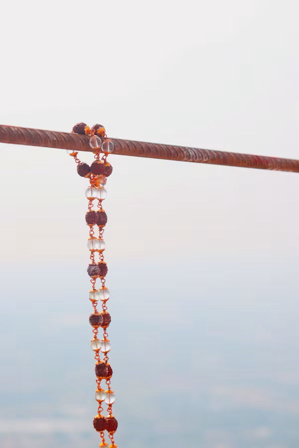 Rudraksha